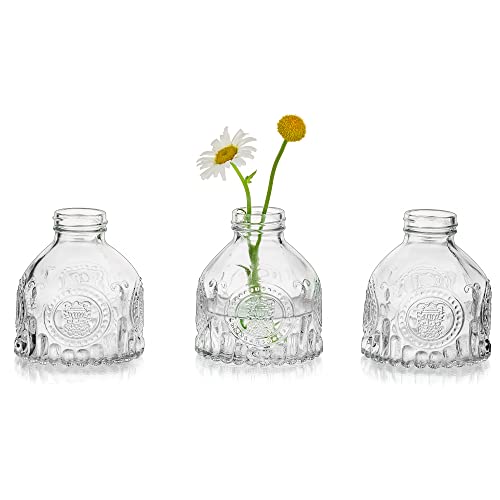 Glasseam Kleine Blumenvase Kristallglas Vintage Glasvasen, 3er Klar Mini Vasen Set Einzelne Blume Vase Glas Deko Flaschenvase Rosenvase Modern für Hochzeit Tischdeko Wohnzimmer Badezimmer, Höhe 9cm von Glasseam