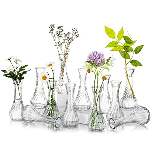 Glasseam Kleine Einzelne Blume Glasvasen, Vasenset 12er Schmale Blumenvase Vintage Mini Vasen Deko Set Vase Glas Rosenvase Modern Blumenvasen Minivase Flaschenvase Dekovasen für Hochzeit Tischdeko von Glasseam