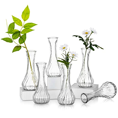 Glasseam Kleine Einzelne Blume Glasvasen, Vasenset 6er Schmale Blumenvase Vintage Mini Vasen Deko Set Vase Glas Rosenvase Modern Blumenvasen Minivase Flaschenvase Dekovasen für Hochzeit Tischdeko von Glasseam