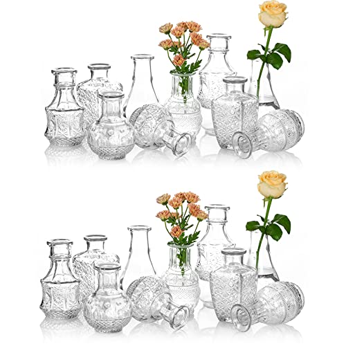 Glasseam Kleine Glasblume Vase Vintage: Mini Bud Sweet Erbsen Vasen Set Von 20 Crystal Clear Rustic Für Wohnzimmer Esstisch Hochzeit Zentrum Indoor Schlafzimmer Dekoration von Glasseam
