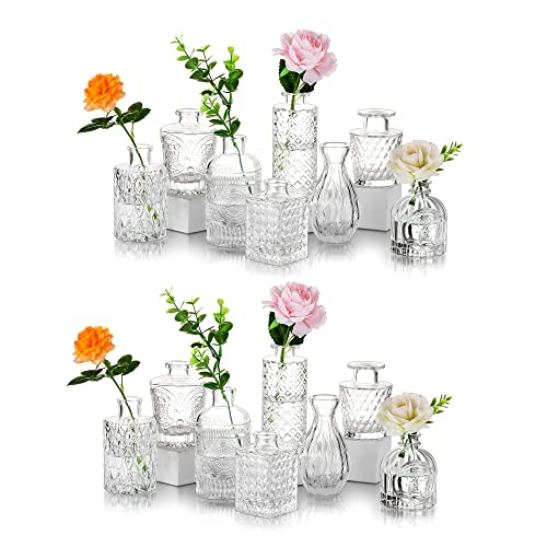 Glasseam Kleine Glasvase Tischdeko Vintage: 16er Vase Glas Klein Blumenvase Modern Deko Mini Vasen Set Schmale Tischvase Aesthetic Kristallvase Hochzeit Dekogläser Pampasgras Rose Baddekorationen von Glasseam