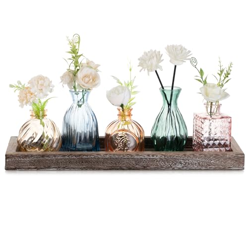 Glasseam Kleine Vasen Glas für Zuhause: 5 Mini Vasen Bunt mit Holztablett für Wohnzimmer Büro Esstisch Tischdeko - Stilvolle Glasvasen Set Blumenvase Klein für Einweihungsgeschenk Haus Geburtstag von Glasseam