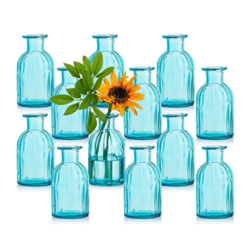 Glasseam Kleine Vasen Set Glasvase, 12 Stück Mini Blumenvase Blau Vintage Vase Glas Rund Glasvasen Flaschenvase Bunt Klein Geriffelte Tischvase Vasenset Glasflasche Deko für Hochzeit Tischdeko von Glasseam