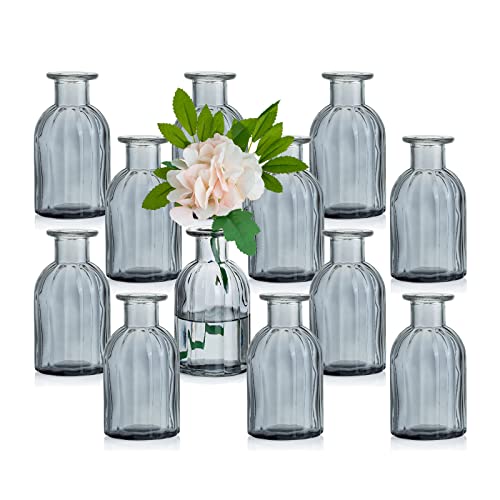 Glasseam Kleine Vasen Set Glasvase, 12 Stück Mini Blumenvase Grau Vintage Vase Glas Rund Glasvasen Flaschenvase Bunt Klein Geriffelte Tischvase Vasenset Glasflasche Deko für Hochzeit Tischdeko von Glasseam