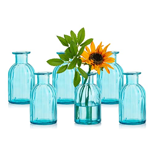 Glasseam Kleine Vasen Set Glasvase, 6 Stück Mini Blumenvase Blau Vintage Vase Glas Rund Glasvasen Flaschenvase Bunt Klein Geriffelte Tischvase Vasenset Glasflasche Deko für Hochzeit Tischdeko von Glasseam