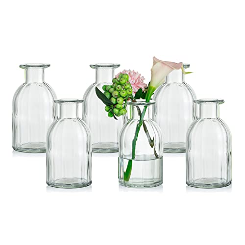 Glasseam Kleine Vasen Set Glasvase, 6 Stück Mini Blumenvase Durchsichtig Vintage Vase Glas Rund Glasvasen Flaschenvase Bunt Klein Geriffelte Tischvase Vasenset Glasflasche Deko für Hochzeit Tischdeko von Glasseam