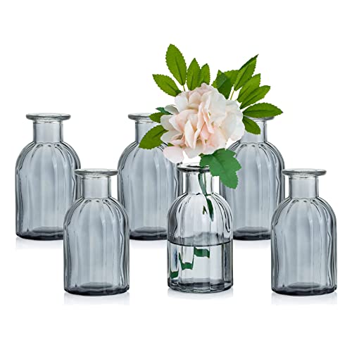 Glasseam Kleine Vasen Set Glasvase, 6 Stück Mini Blumenvase Grau Vintage Vase Glas Rund Glasvasen Flaschenvase Bunt Klein Geriffelte Tischvase Vasenset Glasflasche Deko für Hochzeit Tischdeko von Glasseam