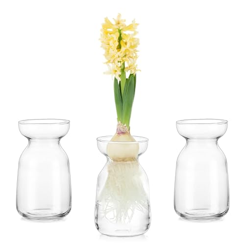 Glasseam Kleine Vasen für Tischdeko, Modern Flower Vase Glas Tulpenvase Design, Durchsichtig 3 Vasen Set für Hyazinthe Pflanzen Anzucht, Dekorative Blumen Vasen Deko für Hochzeit Wohnzimmer von Glasseam