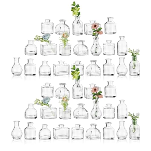 Glasseam Kleine Vasen für Hochzeit Tischdeko: 42er Lovely Glasvasen Set für Hochzeitsdeko Party Home Tisch Deko- Klare Mini Vase Einfach Blumenvasen klein für Wedding Geburtstag Dekoration Glasseam Kleine Vasen für Hochzeit Tischdeko: 42er Lovely Glasvasen Set für Hochzeitsdeko Party Home Tisch Deko- Klare Mini Vase Einfach Blumenvasen klein für Wedding Geburtstag Dekoration von Glasseam