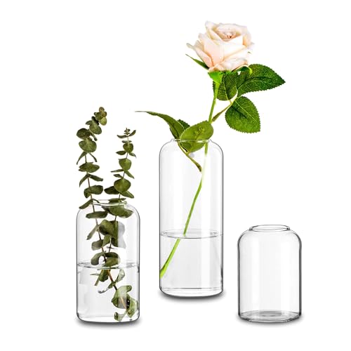 Glasseam Zylindervasen Glas Vasen Deko, Klar Blumenvase Modern 3er Tischdeko Vase Durchsichtig, Schmale Öffnungen Blumenvasen Glasvasen für Tischdeko, Minimalistische Tulpenvase für Wohnzimmer von Glasseam