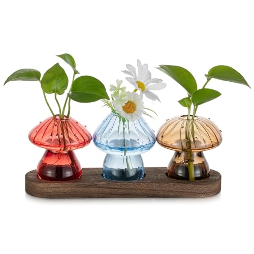 Glasseam Pilz Vase Propagation Station: Glas Vasen Klein mit Holz Ständer - Mini Glasvasen Bunt für Indoor Home Wohnzimmer Büro Tisch Regal Deko - Lovely Blumenvasen Set von 3 für Pflanzen Hydrokultur von Glasseam