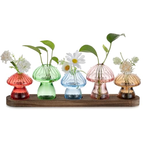 Glasseam Pilz Vase Propagation Station: Glas Vasen Klein mit Holz Ständer - Mini Glasvasen Bunt für Indoor Home Wohnzimmer Büro Tisch Regal Deko - Lovely Blumenvasen Set von 5 für Pflanzen Hydrokultur von Glasseam