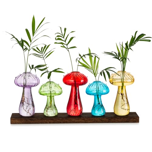 Glasseam Pilzförmige Glasvase, Deko Vase Bunt 5er Set, Blumenvase Modern, Kleine Vasen für Tischdeko, Pilz Holz Glas Vase Propagation Station für Couchtisch Dekoration，Minivasen Geschenke für Frauen von Glasseam