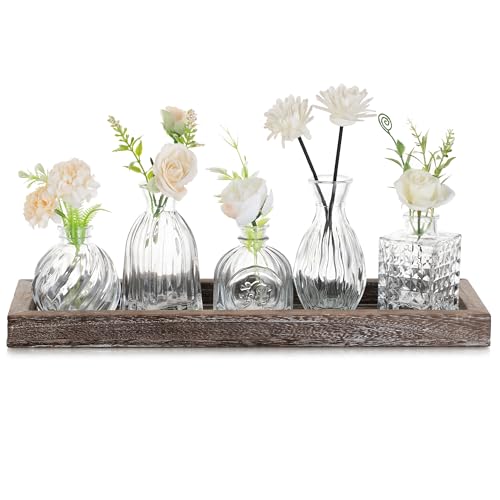 Glasseam Vase Klein Glasvase für Wohnzimmer: 5 Vasen Glas Klar mit Holztablett für Home Büro Hochzeit Tischdeko - Elegante Deko Blumenvasen Set für Geburtstage Jubiläen Geschenk zum Einzug Glasseam Vase Klein Glasvase für Wohnzimmer: 5 Vasen Glas Klar mit Holztablett für Home Büro Hochzeit Tischdeko - Elegante Deko Blumenvasen Set für Geburtstage Jubiläen Geschenk zum Einzug von Glasseam