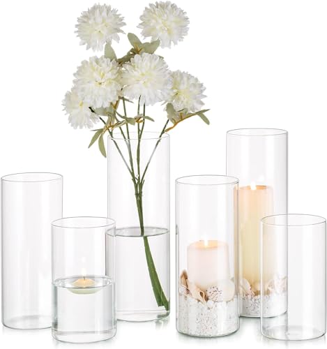 Glasseam Zylinder Vase Glas Klar, Blumenvase Modern Vasen Deko 6 Stück, 15/20/25cm Hoch Tulpenvase Zylindervasen Hochzeit Tischdeko, Dekorative Kerzenhalter Windlicht Flower Vase für Wohnzimmer von Glasseam