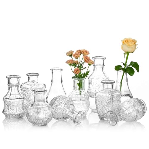 Glasvase Für Blumen 5er-Set Klare Vintage Bud Vase Süße Mini-Erbsenvase Für Tischdekoration Innendekor Hochzeit (klar, 10) von Glasseam