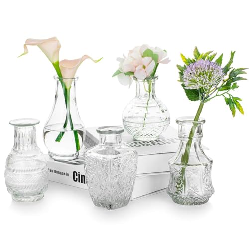 Vintage kleine Glasvase, 5 Stück, dekorativ, transparent, Kristall, Mini-Tischdekoration, Vase, Hochzeit, Blume, Geburtstag, Weihnachten, Dekoration, Room, modern, schick, Herbst, Haus, Schlafzimmer, von Glasseam