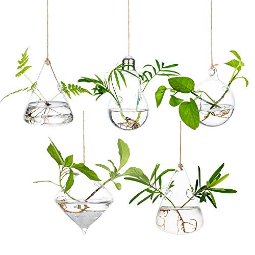 Große hängende Pflanzgefäße aus Glas, für Sukkulenten, Terrarien, Kerzenhalter, für Innen und Außenbereich, 2 Löcher, 3 StückSet mit Schnüren, Seil für Zuhause, Garten, Glühbirne + Dreieck + Große hängende Pflanzgefäße aus Glas, für Sukkulenten, Terrarien, Kerzenhalter, für Innen und Außenbereich, 2 Löcher, 3 StückSet mit Schnüren, Seil für Zuhause, Garten, Glühbirne + Dreieck + von Glasseam