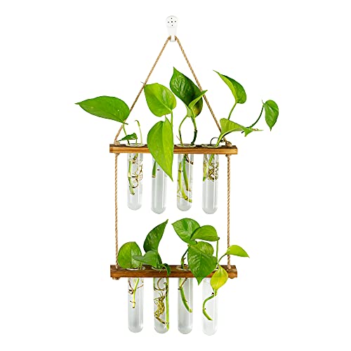 Hängende Vermehrungsstation Für Pflanzen Wand Pflanzgefäß Indoor Moderne Glas Reagenzglasvasen Für Blumen Mit Holzregal Für Vintage Room Decor Home Office Zubehör, 8 Reagenzgläser von Glasseam