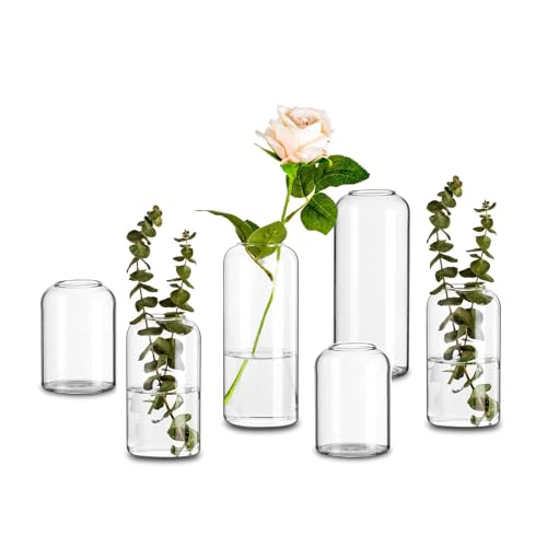 Handmade Glasvase Zylinder Tischdeko Modern: 6er Glasseam Blumen Vase Glas Rund Vasen Deko Set Schmal Blumenvase Kleine Tulpenvase Rosenvase Glaszylinder für Hochzeit Wohnzimmer Tulpen Rose Pampasgras von Glasseam