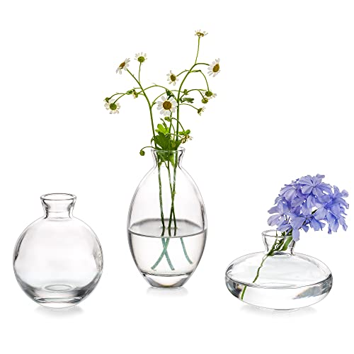 Kleine Vasen Für Tischdeko Vintage Handmade, 3 Stück/Satz Klar Mini Vase Glas Blumenvase Modern Set Verschiedene Groessen Schlanke Hydroponic Glasvase Fuer Blumen Deko Hochzeit Tisch Wohnzimmer von Glasseam