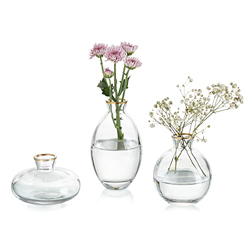 Kleine Vasen Für Tischdeko Vintage Handmade, 3 Teilig Mini Vase Glas Goldrand Blumenvase Modern Set Verschiedene Groessen Schlanke Hydroponic Glasvase Fuer Blumen Deko Hochzeit Tisch Wohnzimmer von Glasseam