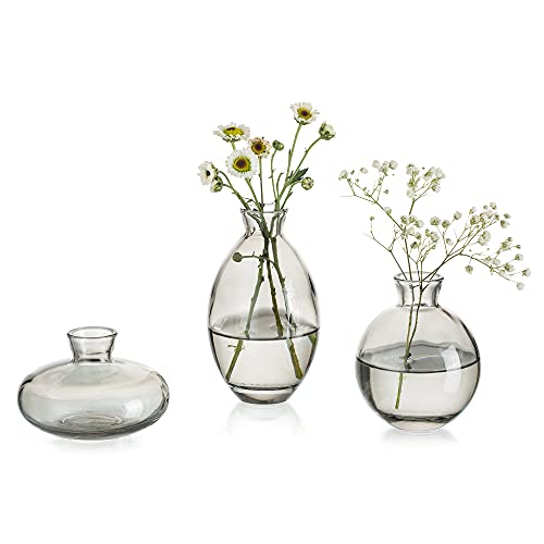 Kleine Vasen Für Tischdeko Vintage Handmade, 3 Teilig Mini Vase Glas Grau Blumenvase Modern Set Verschiedene Groessen Schlanke Hydroponic Glasvase Fuer Blumen Deko Hochzeit Tisch Wohnzimmer Couchtisch von Glasseam