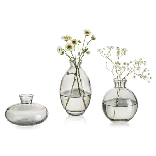 Kleine Vasen Für Tischdeko Vintage Handmade, 3 Teilig Mini Vase Glas Grau Blumenvase Modern Set Verschiedene Groessen Schlanke Hydroponic Glasvase Fuer Blumen Deko Hochzeit Tisch Wohnzimmer Couchtisch von Glasseam