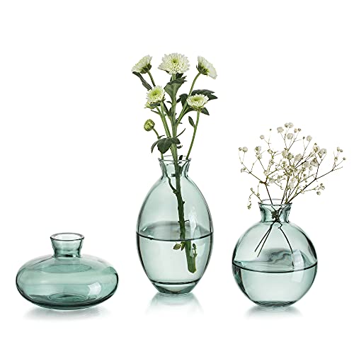 Kleine Vasen Für Tischdeko Vintage Handmade, 3 Teilig Mini Vase Glas Grün Blumenvase Modern Set Verschiedene Groessen Schlanke Hydroponic Glasvase Fuer Blumen Deko Hochzeit Tisch Wohnzimmer Couchtisch von Glasseam