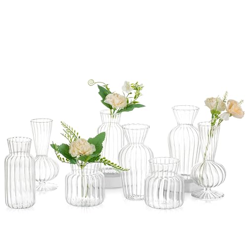 Kleine Vasen Hochzeit Tischdeko Vintage, 8 Teilig Mini Vase Glas Blumenvase Modern Set Hydroponic Glasvase Fuer Blumen Deko Hochzeit Tisch Wohnzimmer Couchtisch Badezimmer von Glasseam