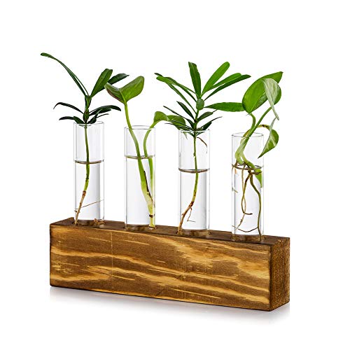 Tischplatte Hängende Glas Pflanzer Vermehrungsstation Moderne 4 Reagenzglas Blume Knospe Vase in Holz Stehen für Hydroponik Pflanzen Stecklinge Büro Home Decoration von Glasseam