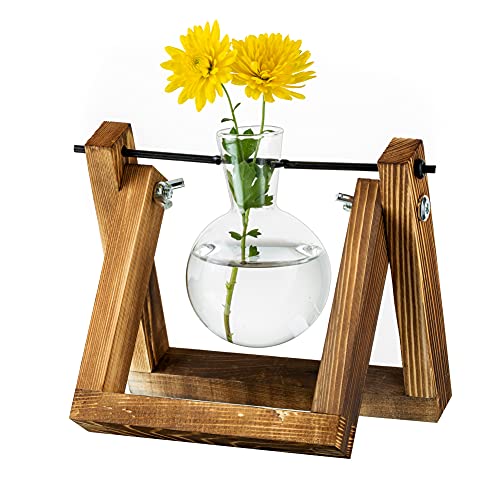 Vermehrungsstation Für Pflanzen Upgrade Zwiebel Vase Pflanzer Mit Holzständer Glas Blumentopf Innen Für Tischdekoration Vintage Home Office Zubehör, 1 Zwiebel von Glasseam