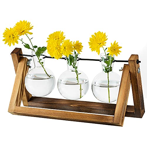 Vermehrungsstation Für Pflanzen Upgrade Zwiebel Vase Pflanzer Mit Holzständer Glas Blumentopf Innen Für Tischdekoration Vintage Home Office Zubehör, 3 Zwiebeln von Glasseam