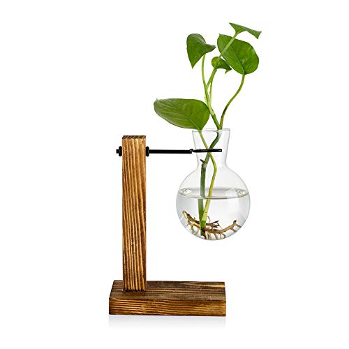 Vermehrungsstation Mit Holzregal 1 Birne Vintage Avocado Vase Glas Reagenzglas Vasen Für Blumen Eichel Pflanze Für Home Table Desk Indoor Decor von Glasseam