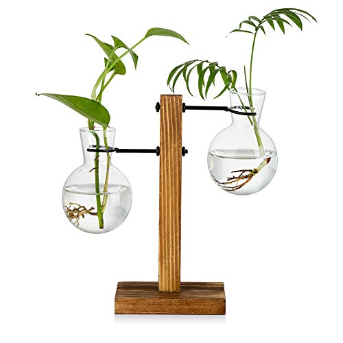 Vermehrungsstation Mit Holzregal 2 Birne Vintage Avocado Vase Glas Reagenzglas Vasen Für Blumen Eichel Pflanze Für Home Table Desk Indoor Decor von Glasseam