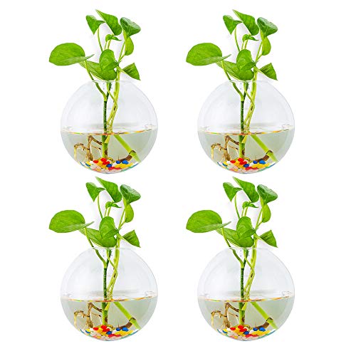 Wandbehang Glas Pflanzgefäße 4Stk. Sphärische Form Blumentöpfe Terrarium Behälter Vase mit 4,24 Unzen Bunte Steine ​​Indoor Outdoor für Hausgarten Büro Hochzeit von Glasseam