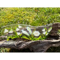 standbild Weiße Blumenvielfalt von Glasstern