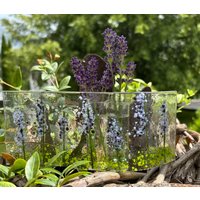 standvasenbild Lavendel Neu von Glasstern