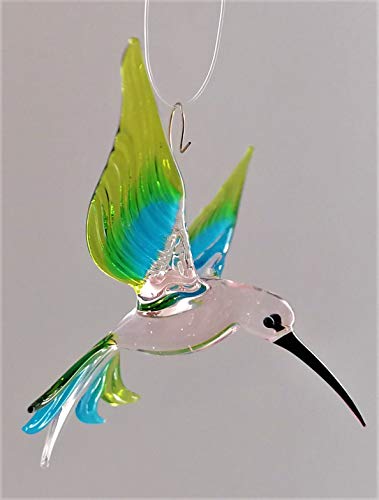 Hängevogel, Kolibri von Glasvogelwelt