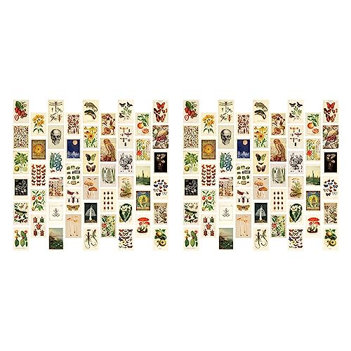 Glayent Vintage ästhetische Wand Collage Satz - 100 Mini Botanical Collage Kunst Poster (4X6), für Trendige Fotowand von Glayent