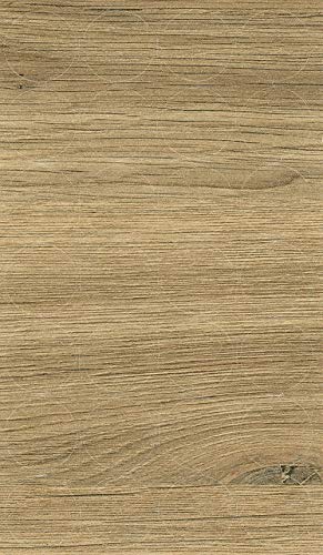 GleitGut Selbstklebende Abdeckkappen für Möbel - Durchmesser 20 mm - 28 Stück - Schrauben-Abdeckungen (Wildeiche) von GleitGut