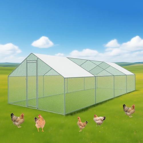 Großer Hühnerstall, Hühnerauslauf aus Metall for den Hof mit Futtertür, begehbarer Hühnerstall, Geflügelkäfig for den Außenbereich mit UV-Schutz(Tube Diameter 32mm,8 * 3 * 2) von Glenmi