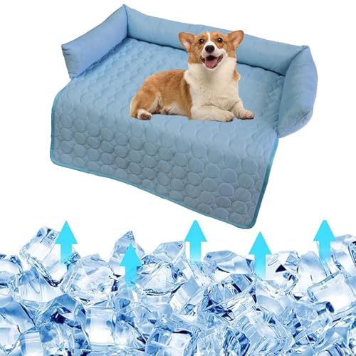 Kühlmatte for Hunde – langlebige Kühlmatte for Haustiere, selbstkühlendes Gelpad aus ungiftigem Gel for Hunde und Katzen im heißen Sommer – kratzfester Stoff for Zuhause, Reisen, drinnen und draußen(B Kühlmatte for Hunde – langlebige Kühlmatte for Haustiere, selbstkühlendes Gelpad aus ungiftigem Gel for Hunde und Katzen im heißen Sommer – kratzfester Stoff for Zuhause, Reisen, drinnen und draußen(B von Glenmi
