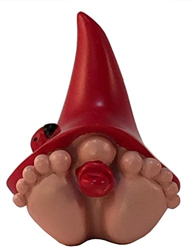 Miniatur-Baby-GNOME Jasper - Riese der Baby-GNOME mit dem Red Hut für den Fee und GNOME-Garten. A Fairy Garden GNOME GNOME von GlitZGlam