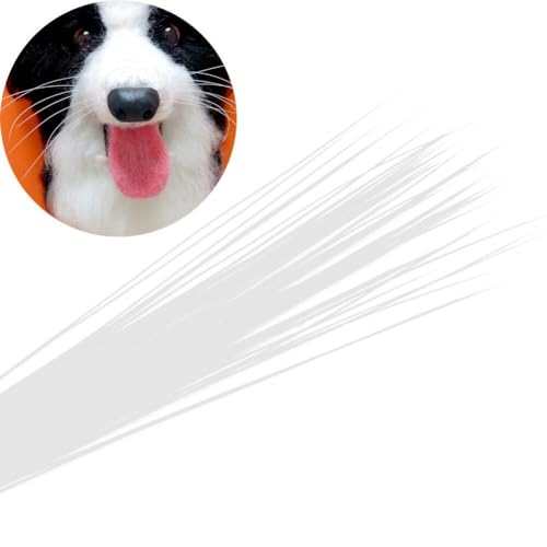 Glixoft Simulation Katze Bart Künstliche Tier Bart DIY Wollfilz Bart Weiß Schwarz Hund Bart Handgemachte DIY Puppe Dekoration Gefälschte Bart von Glixoft