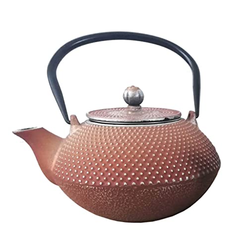 Globe Fire Teekanne mit Teesieb aus Gusseisen - Innenseite emailliert - Farbe: silber-braun, 1,3 Liter von Globe Fire