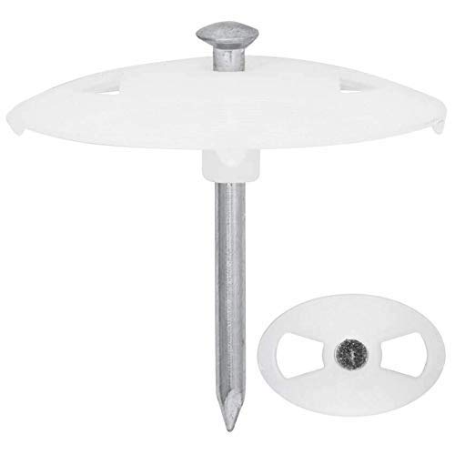 100 x Nagelscheibe Nagelscheiben mit Stahlnagel Scheibe 40 x 25 mm (Nagel-Länge 40 mm) von Globe Warehouse