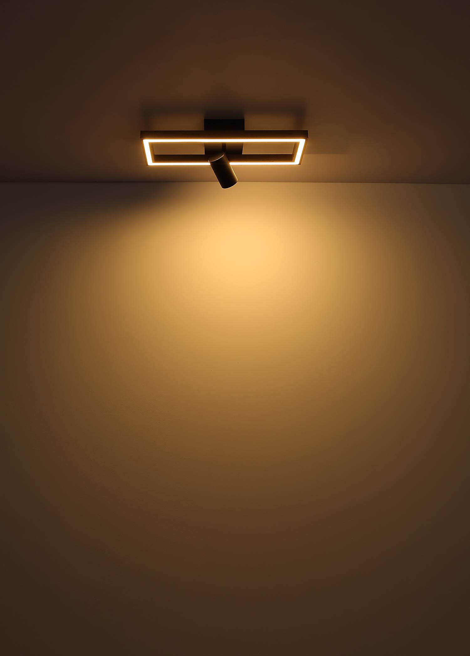 LED-Deckenleuchte Mandera mit Spot von Globo Lighting