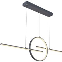 Lighting - BARRAL - Hängeleuchte Metall Graphit, LED von Globo