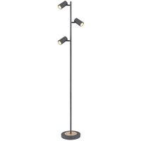Lighting - ROBBY - Stehleuchte Metall Graphit, 3x GU10 LED Lighting - ROBBY - Stehleuchte Metall Graphit, 3x GU10 LED von Globo